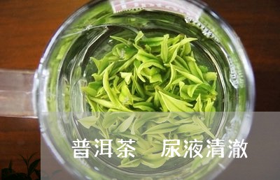 普洱茶 尿液清澈/2023041047482